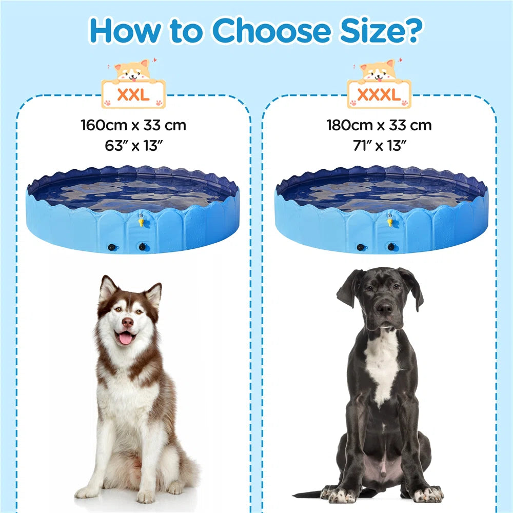Plastic Round Pet Pool 13'' H x W x L